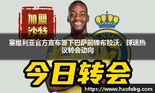 B体育bsports