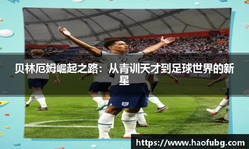 bsports官网